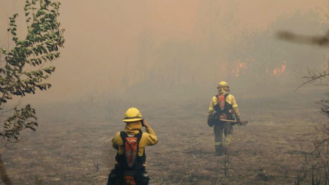 incendio forestal