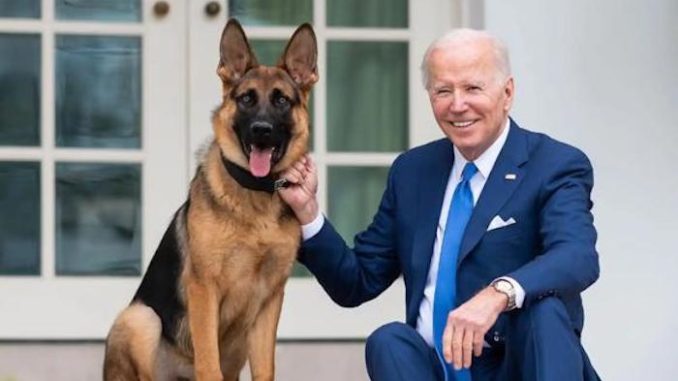 biden commander