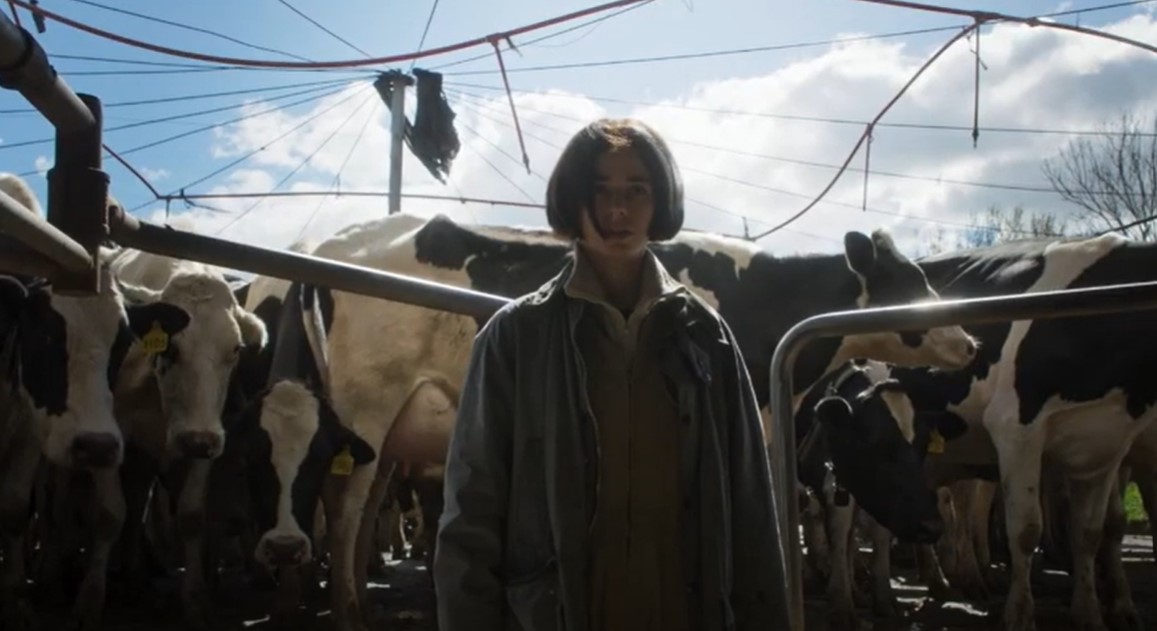 La cinta argentina «Los impactados» triunfa en el Festival de Cine Ibero-Latino Americano
