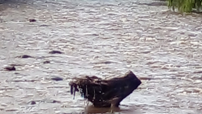 CUENCA-CAUDAL RIOS NORMALES POR LLUVIAS