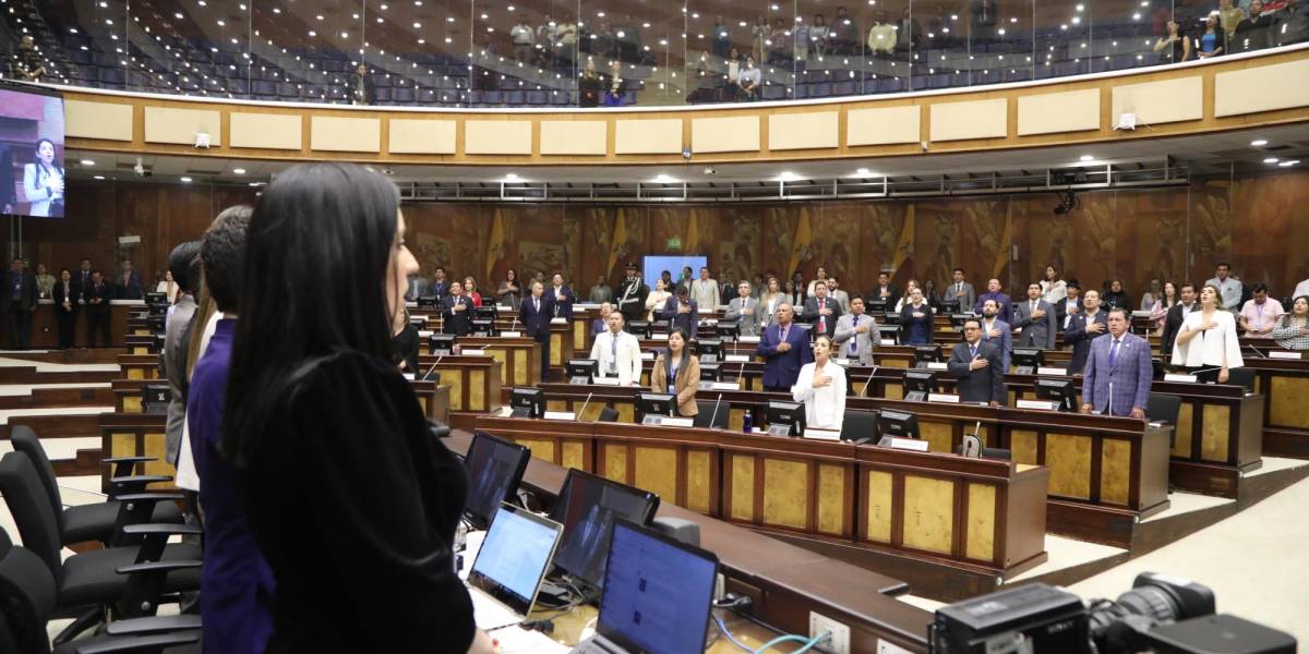 La Asamblea del 2025 estará conformada por 151 legisladores