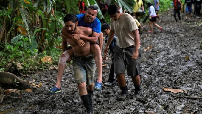Panama-estudia-efecto-del-paso-de-migrantes-por-la-selva-de-Darien