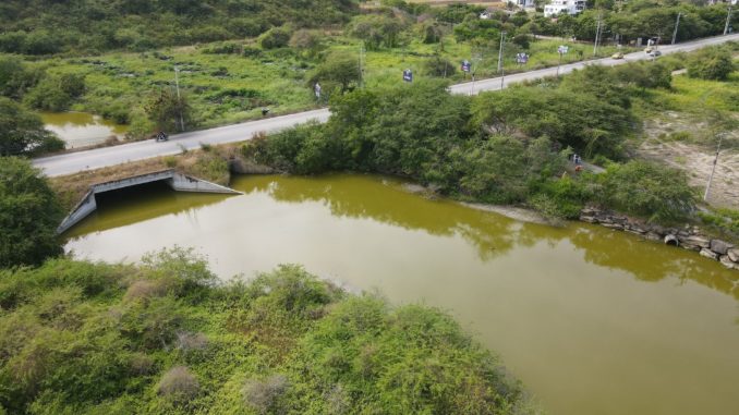 estero oloncito