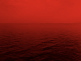 Imagen de Alexander Mils en Unsplash