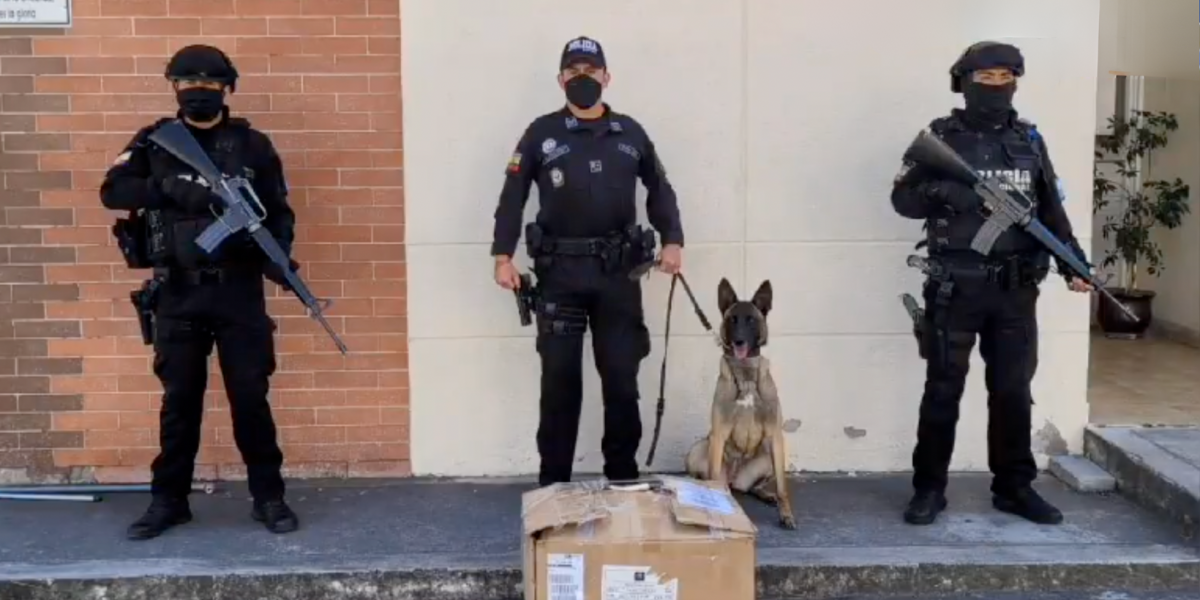 Cocaína estaba camuflada en artesanías que iban a España