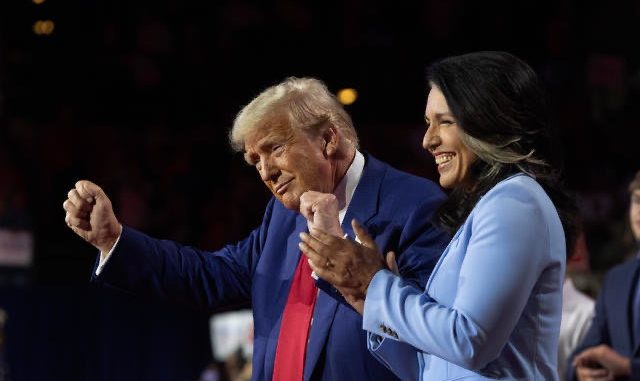 Imagen Tulsi Gabbard @TulsiGabbard Imagen Tulsi Gabbard @TulsiGabbard