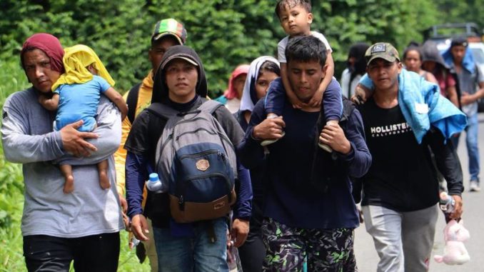 migracion_1867836_20241121192041