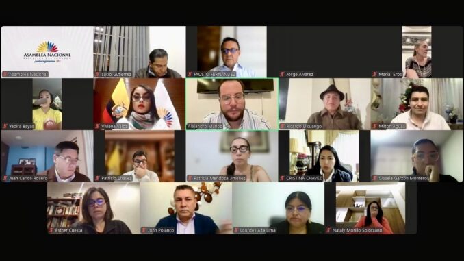 Pleno-virtual-Asamblea-Nacional