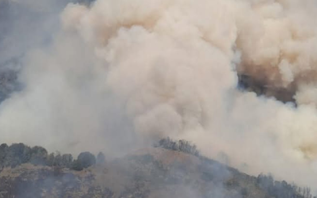 3.000 hectáreas quemadas por incendios en la Patagonia argentina