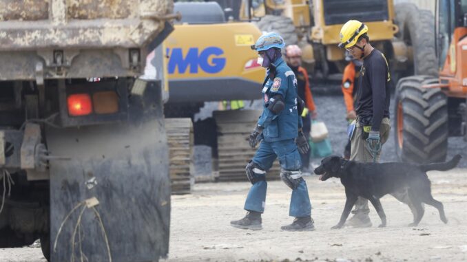 Search operations continue in Bangkok following building collapse