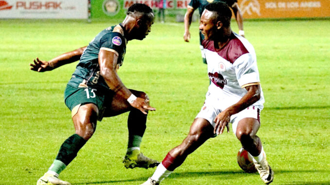 FBL LIGAPRO MUSHUC RUNA VINO TINTO