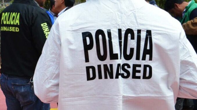 Dinased_-700x391-1-700x391