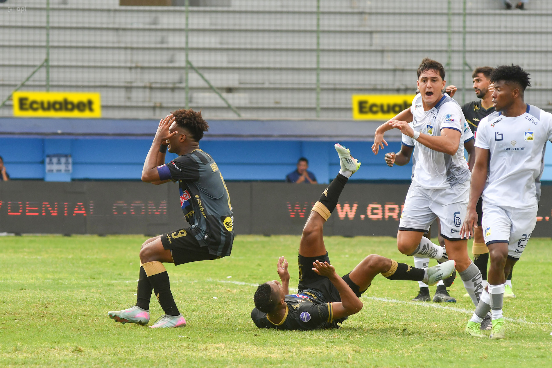 FBL-LIGAPRO-DELFIN-MANTA