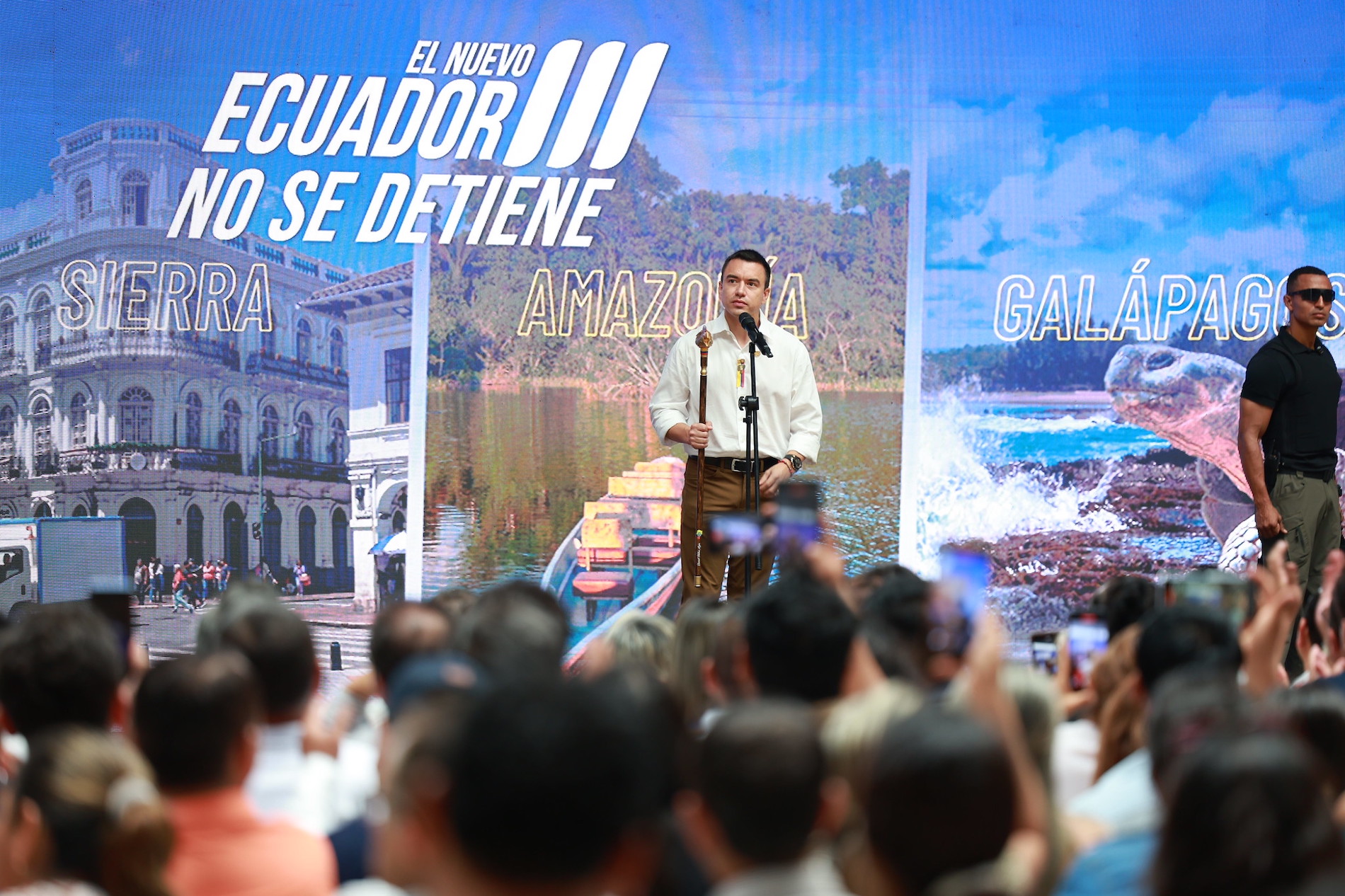 noboa ley