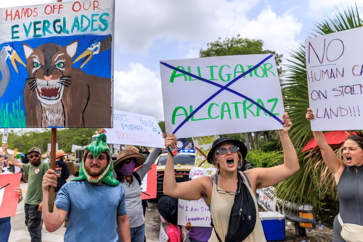 Alligato Alcatraz