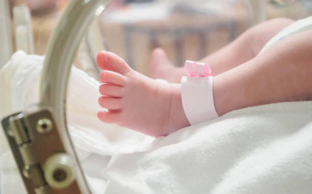 istockphoto-866792570-612x612