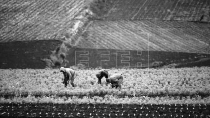 censo agropecuario
