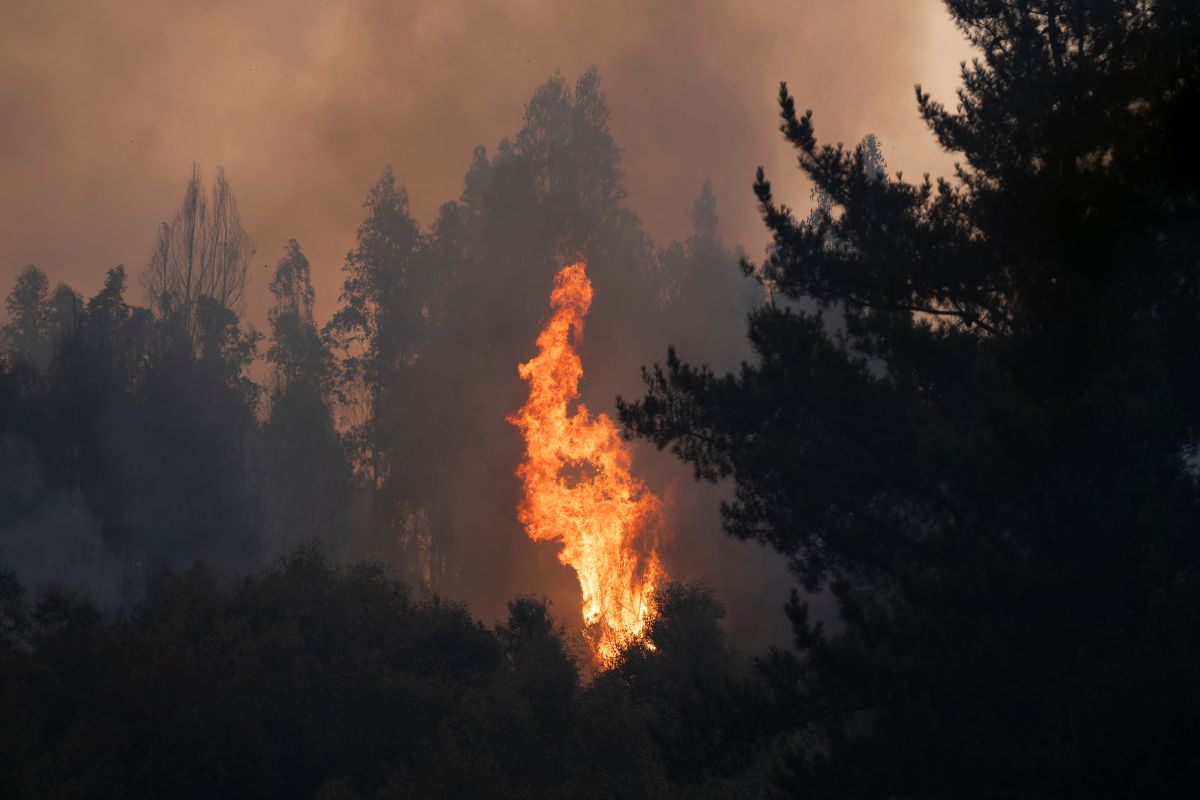21 muertos por incendios forestales en el sur de Chile