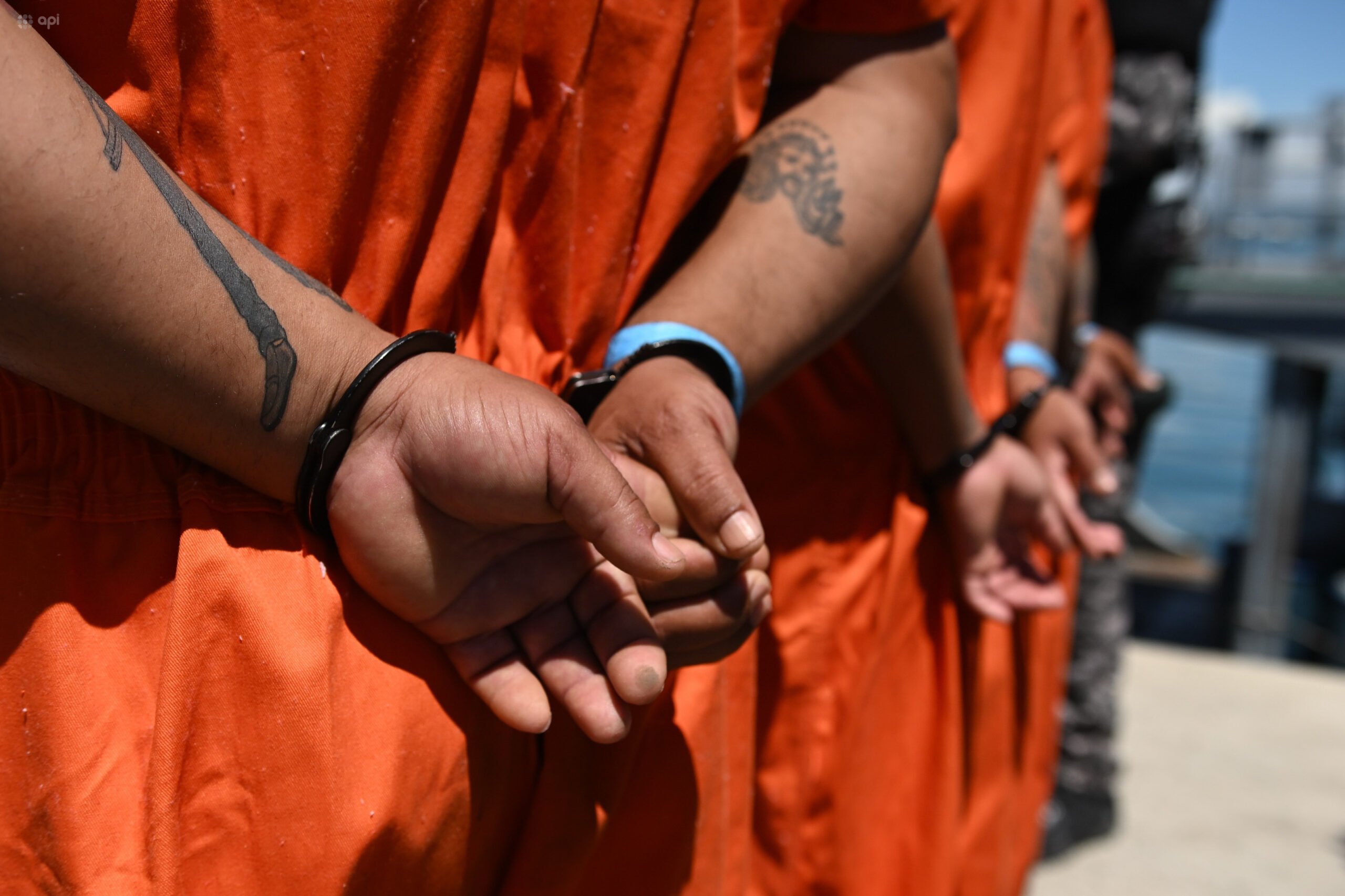 Periodista mexicana revela alianzas del cártel Jalisco Nueva Generación con el Gobierno de Ecuador en 2010