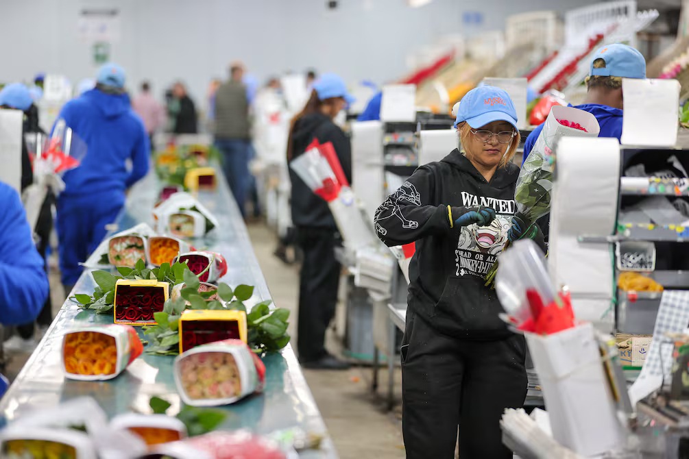 Acuerdo comercial entre Ecuador y EE.UU. lo volverá más competitivo que Perú y Colombia