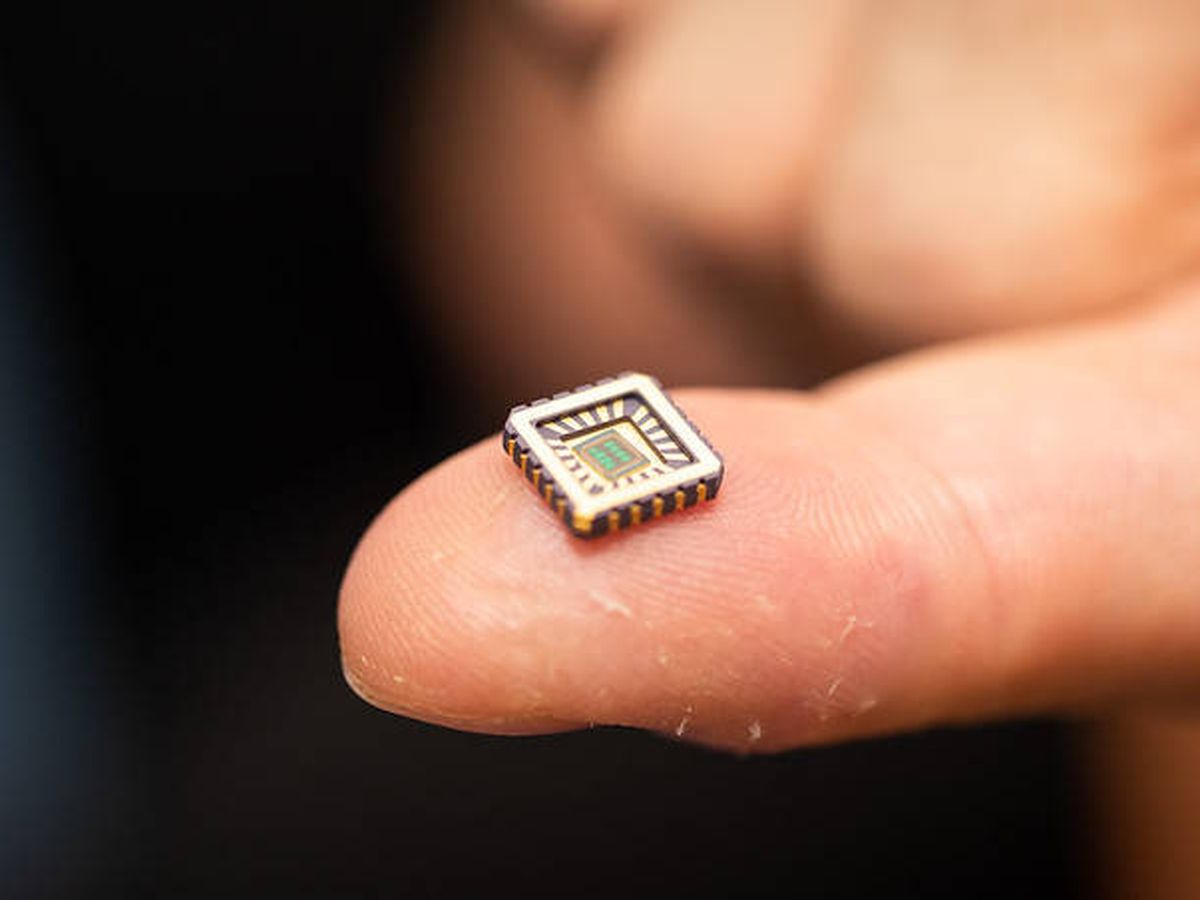 Neuronas impresas se comunican con las células cerebrales vivas